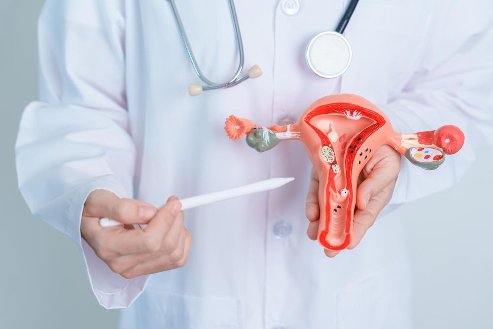 Explaining Fallopian Tube Blockage.