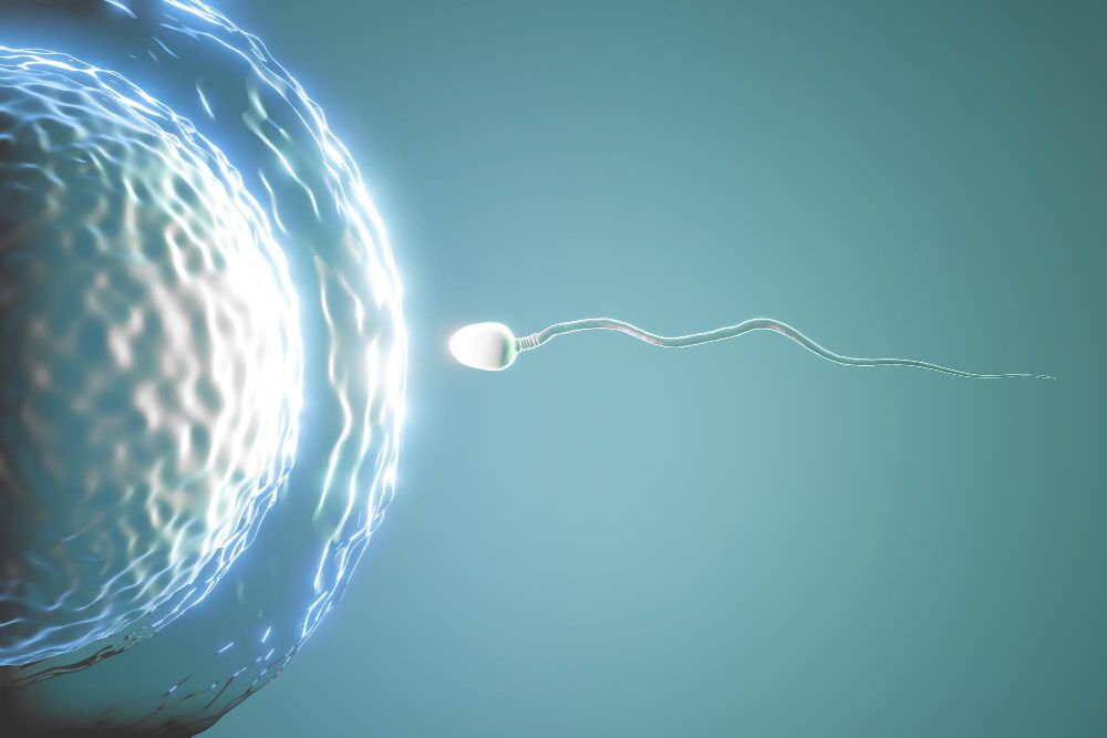 How Many IVF Cycles Can You Do? Limits & Expert Advice