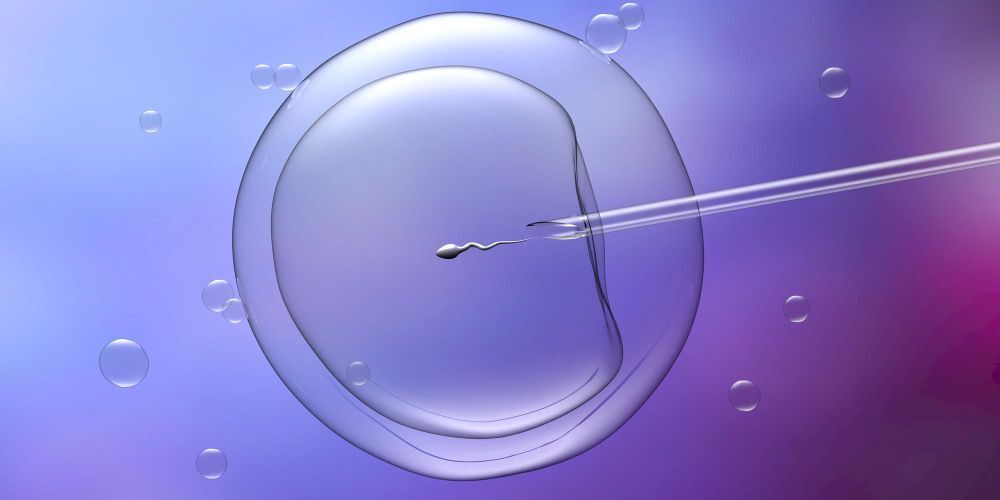 IUI Treatment Concept.