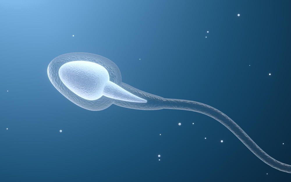 Semen Analysis and Its Role in Male Fertility Diagnosis