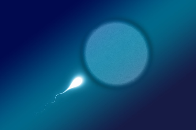 affordable ivf costs and fees in nepal