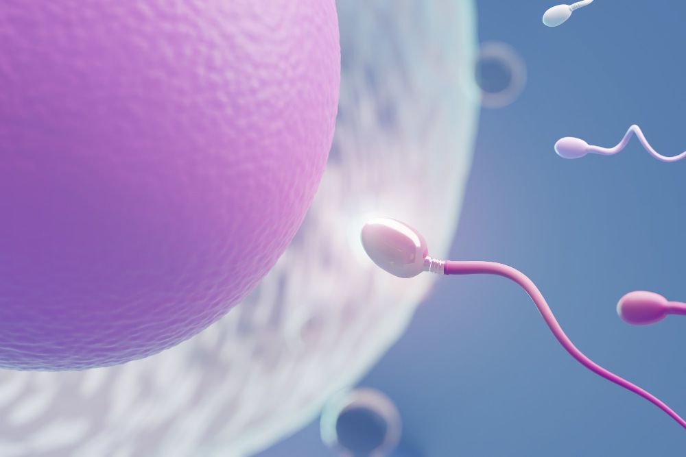 the Different Types of IVF